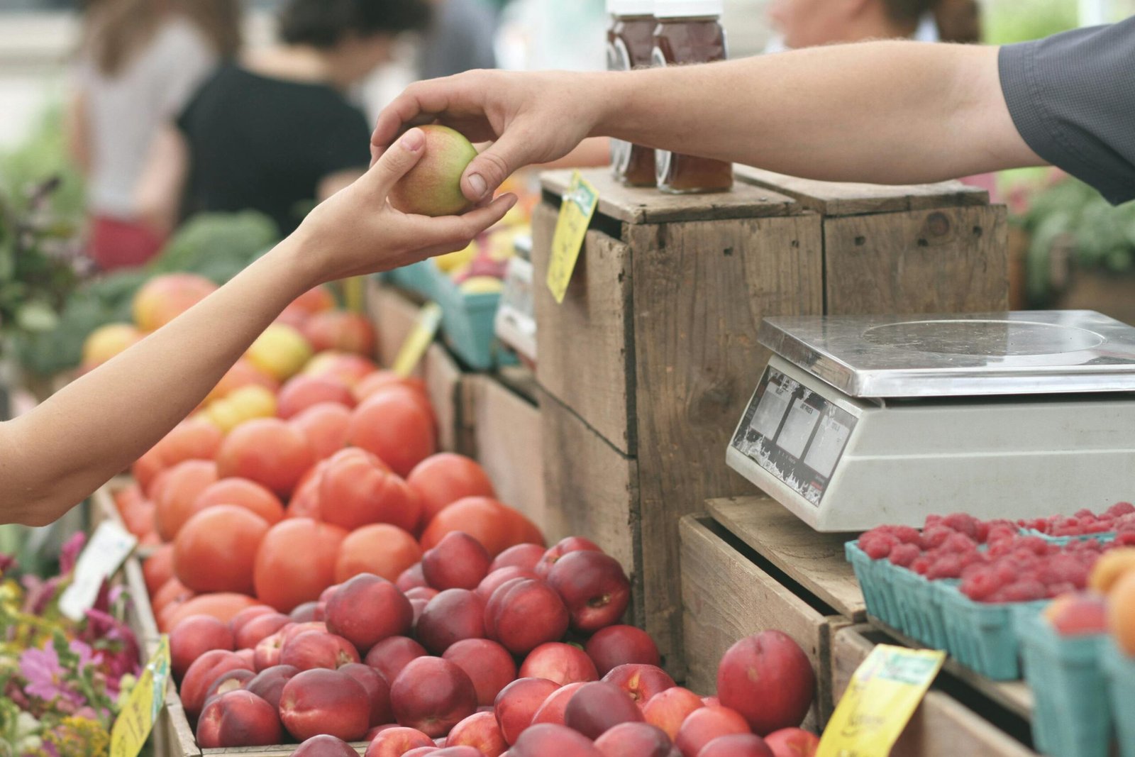 How Often Should You Grocery Shop